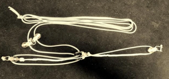 Picture of Tasar Vang System (Complete)